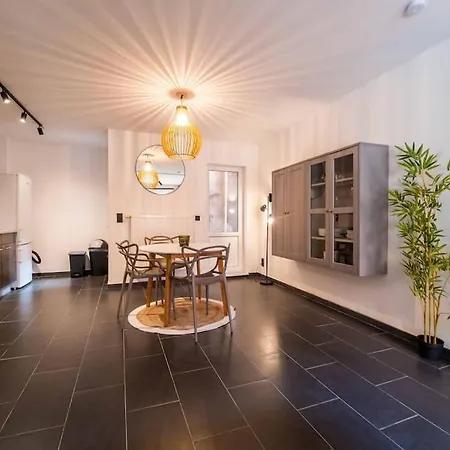 Duplex Coeur De 64-2 Appartement *